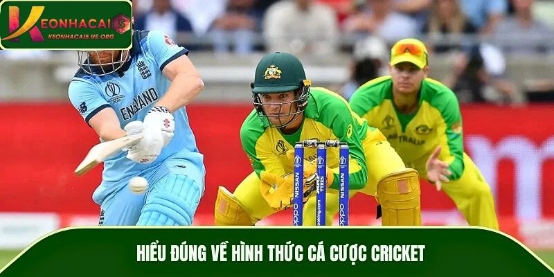 Hiểu đúng về hình thức cá cược cricket